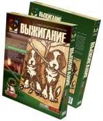 Набор для творчества Фантазер «Выжигание и тонировка»